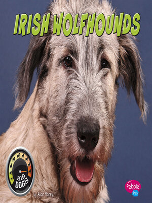 cover image of Irish Wolfhounds